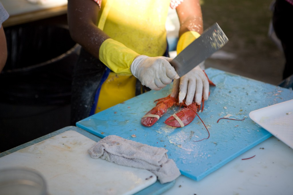 Chopping Lobster