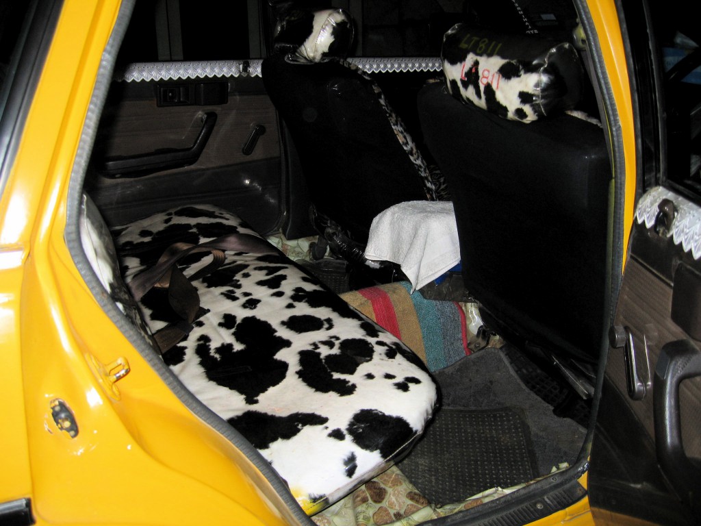 cow hide taxi